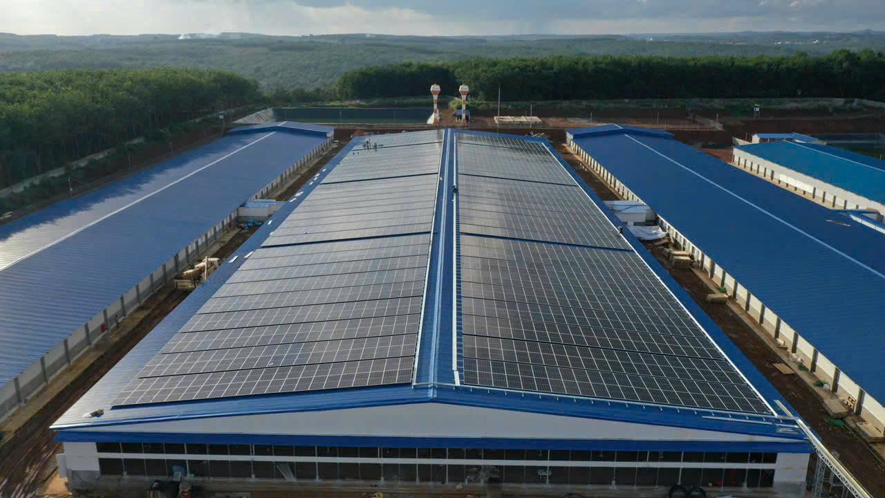 Trang Trại Chăn Nuôi Bình Phước 3.5MWp